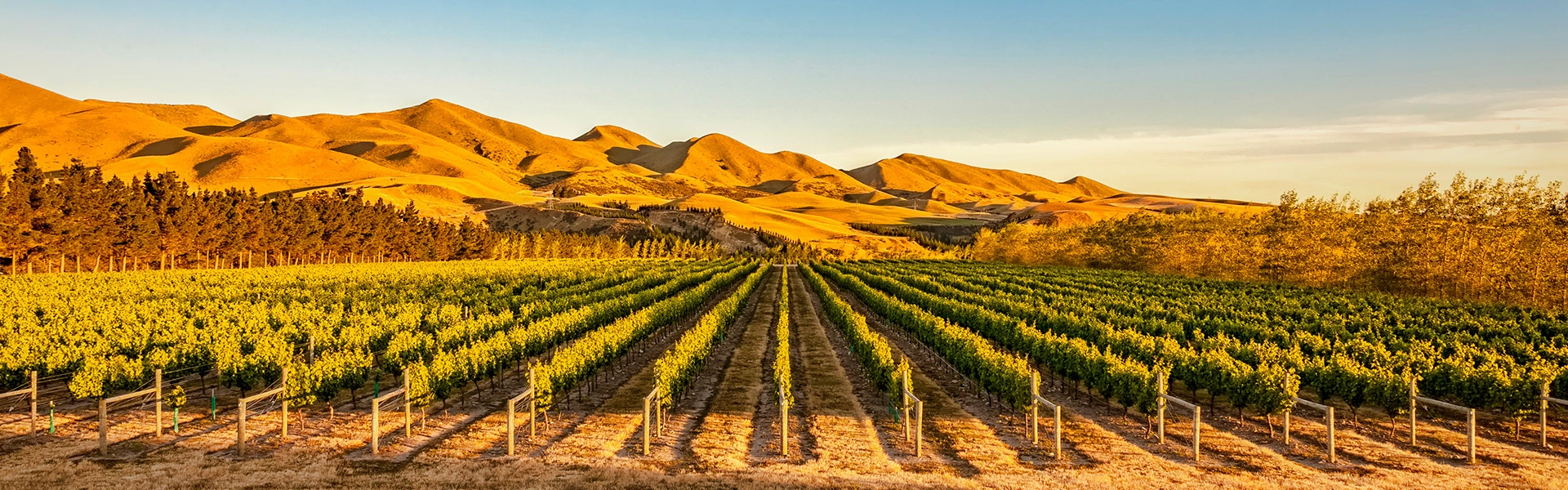 canterbury mountains